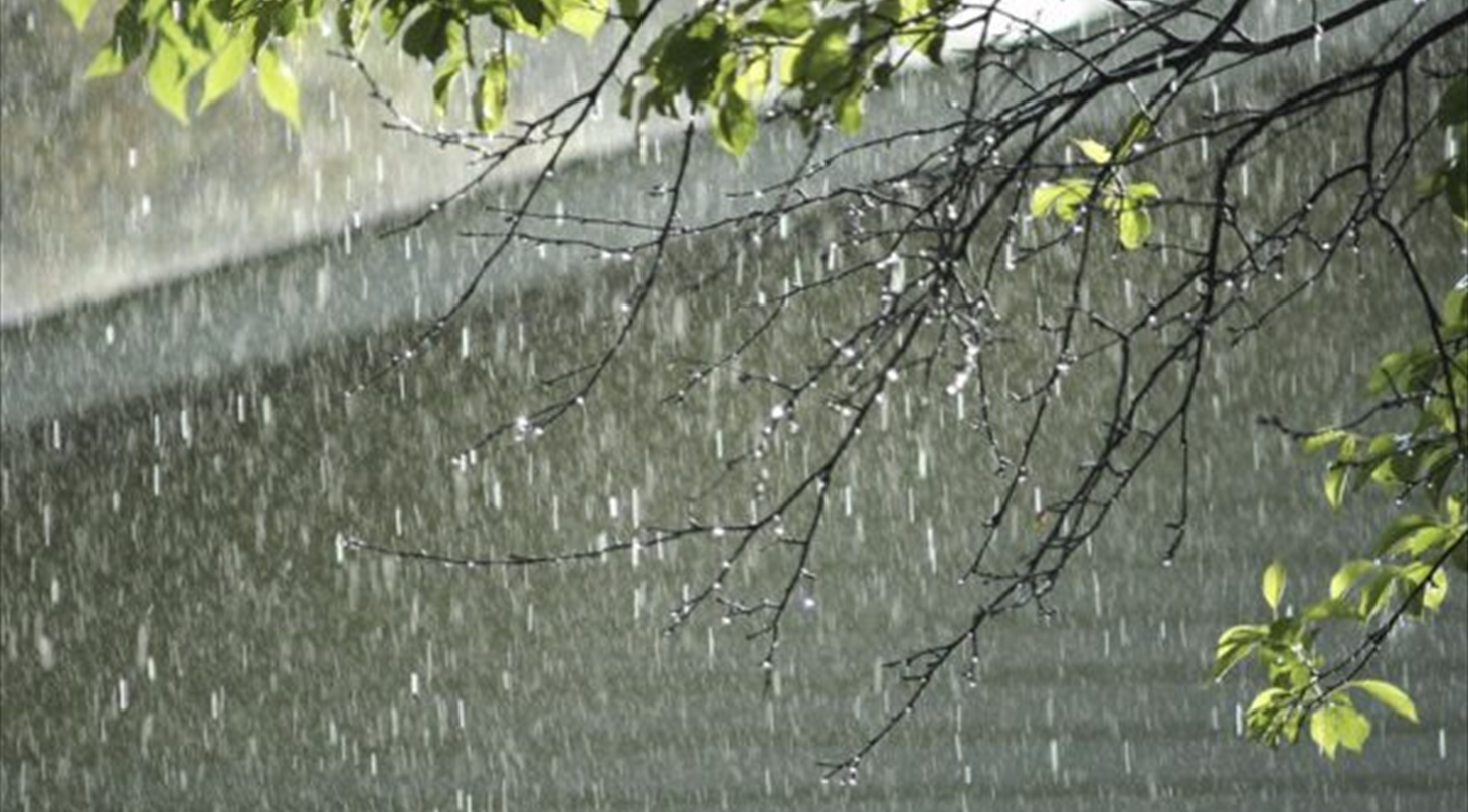 Andet, udnyttelse af regnvand